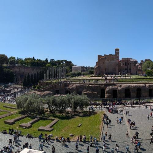 11_rom_2026.jpg 