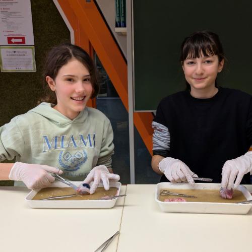 impressionen_von_den_biologischen_uebungen_07.jpg