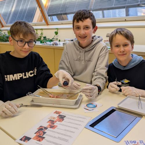 impressionen_von_den_biologischen_uebungen_08.jpg 