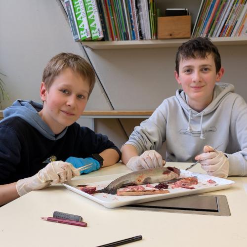 impressionen_von_den_biologischen_uebungen_22.jpg