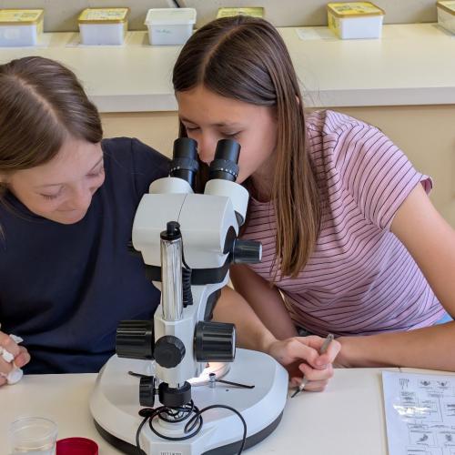 impressionen_von_den_biologischen_uebungen_30.jpg 