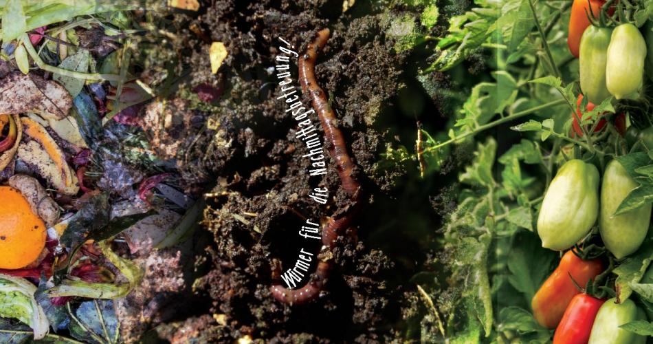 Wurm